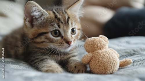 A curious kitten playing with a small plush toy.