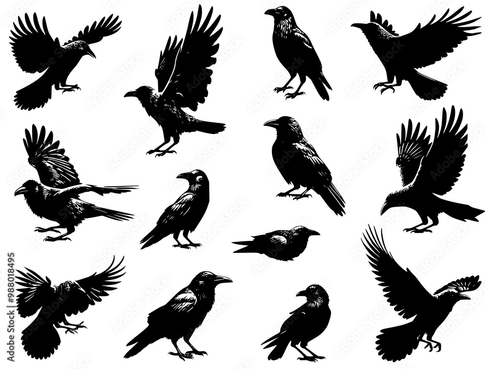 Obraz premium Crow silhouettes set
