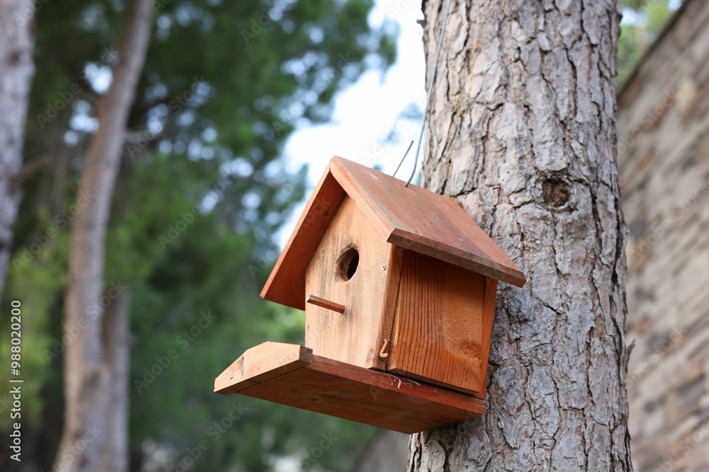 Beautiful wooden birdhouse hanging on tree trunk in park Beautiful wooden birdhouse hanging on tree trunk in park