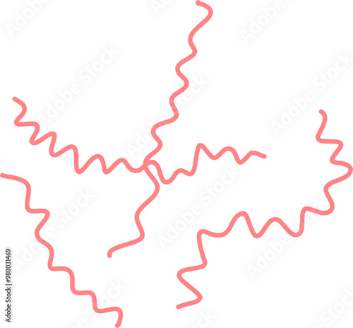 Leptospirosis illustration. Rat fever illustration. Leptospira bacteria.