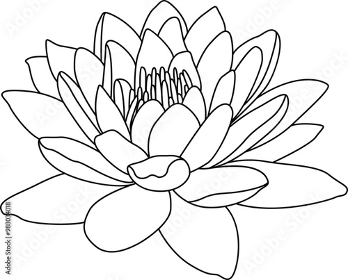 Lotus flower drawing clip art photo