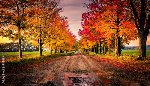 Muddy Country Road