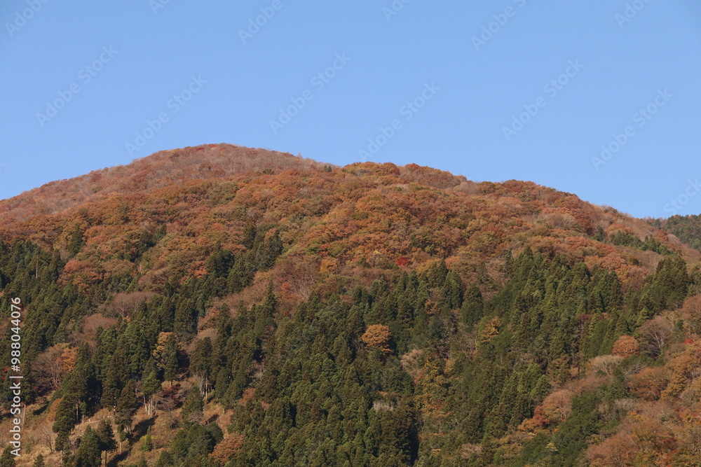 秋の奥多摩湖。紅葉する山。 秋の奥多摩湖。紅葉する山。