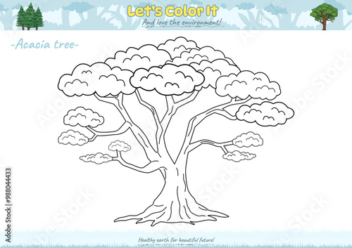 Lets color it Acacia tree 2