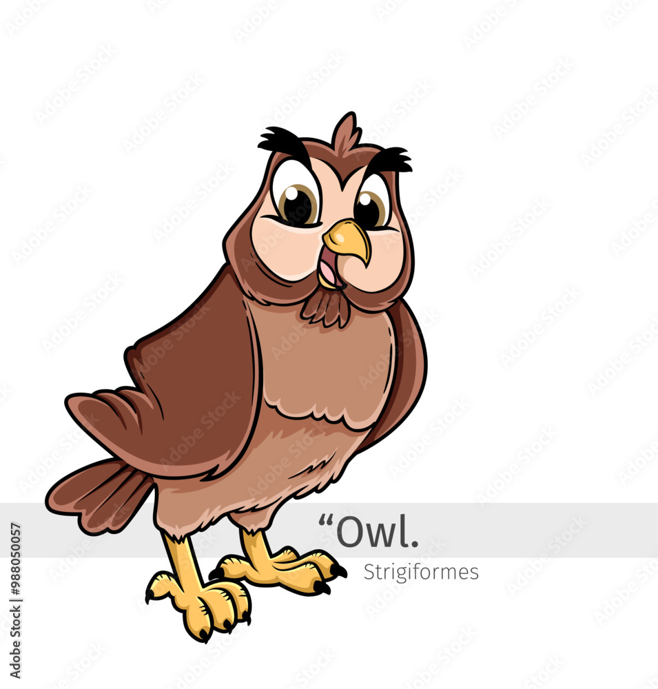 Owl Cartoon illustration Owl Cartoon illustration