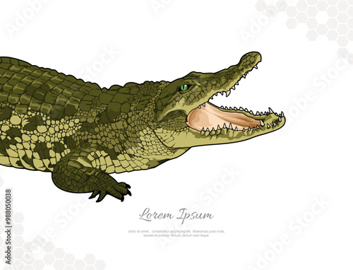 Nile crocodile vector art for wall decoration 2