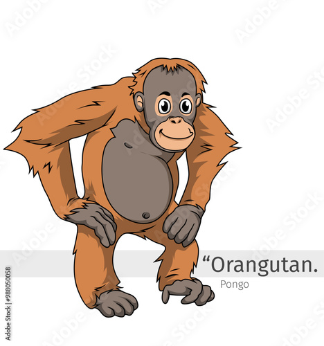 Orangutan Cartoon illustration