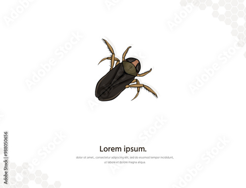 Water boatman vector art for wall decoration landscape