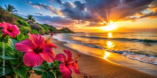 Fototapeta Naklejka Na Ścianę i Meble -  Vibrant hibiscus flowers on Maui beach at sunset, hibiscus, flowers, Maui, Hawaii, colorful, sandy beach