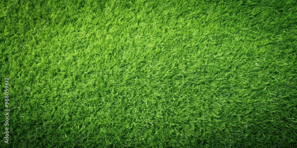 Obraz premium Green grass background texture, green, grass, background, texture, nature, plant, lush, vibrant, fresh, outdoors