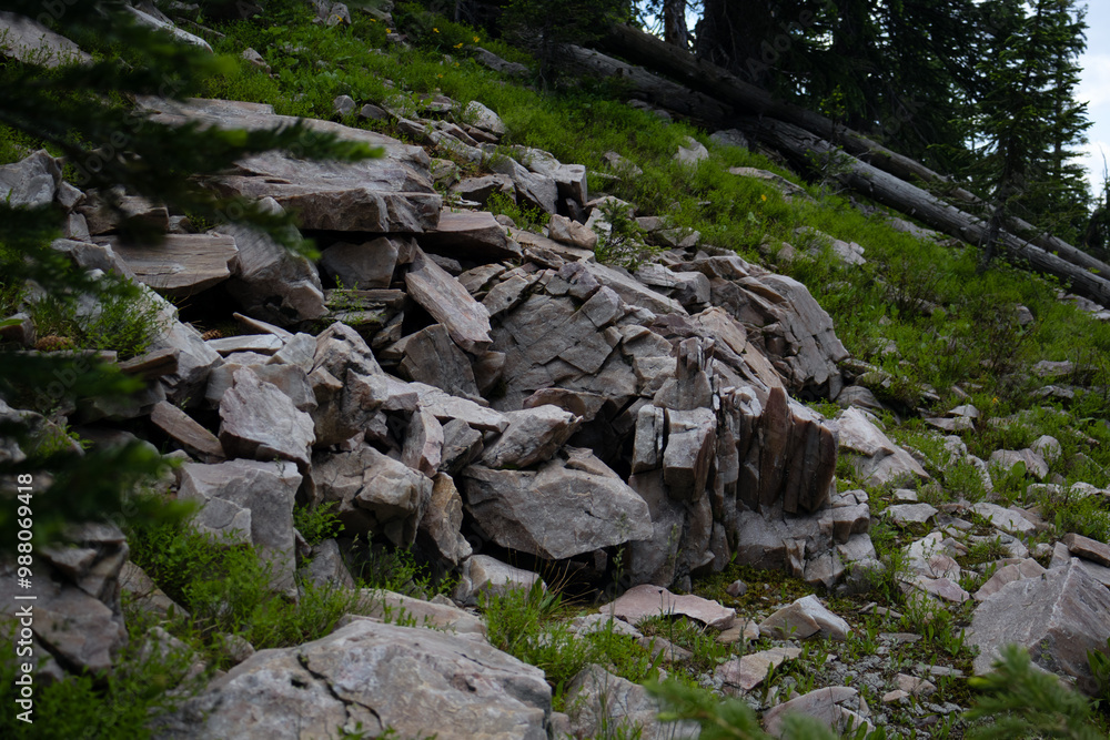 Fototapeta premium rocks in the forest