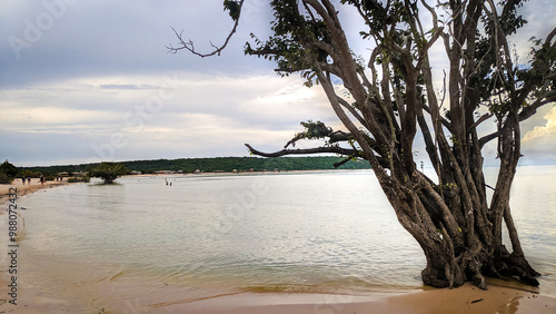 Praia de água doce no Rio Tapajós, Santarém photo