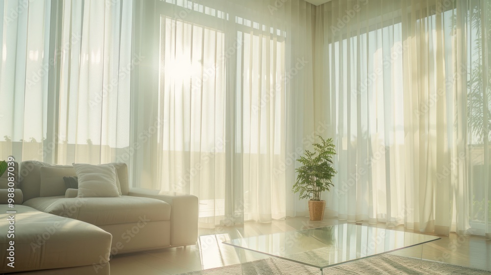 Sunlight Streaming Through Sheer Curtains Sunlight Streaming Through Sheer Curtains