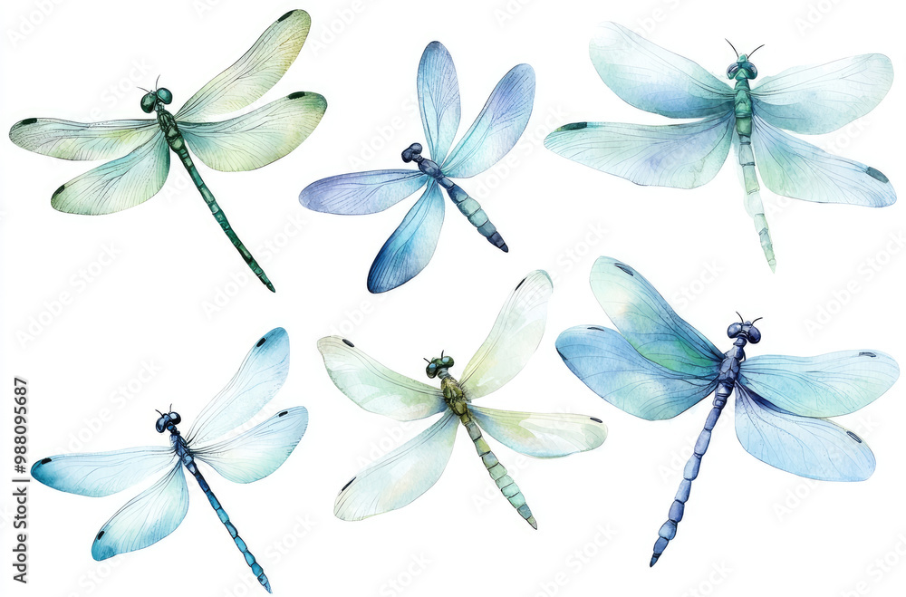 Delicate Dragonflies in Various Poses for Nature-Inspired Artistic Creations Delicate Dragonflies in Various Poses for Nature-Inspired Artistic Creations
