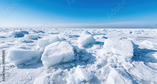 Vast expanse of snow-covered ice in the arctic