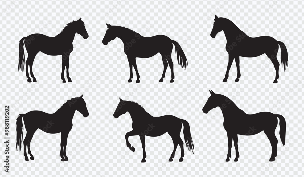 Silhouettes of Horses in Various Poses - Elegant Vector Collection on White Background Silhouettes of Horses in Various Poses - Elegant Vector Collection on White Background