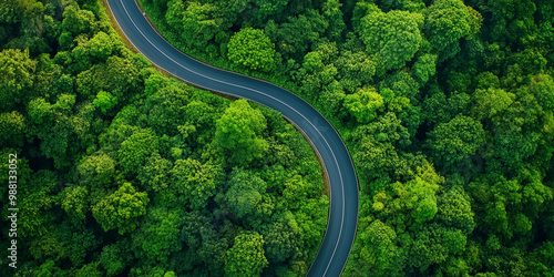 breathtaking aerial shot of curved road winding through lush green trees, showcasing beauty of nature and serenity of landscape