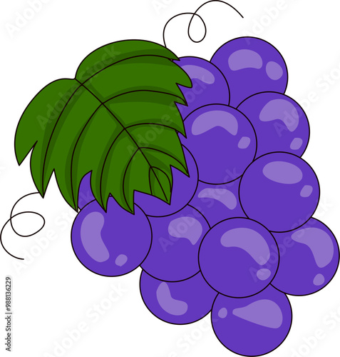 bunch of grapes on a branch