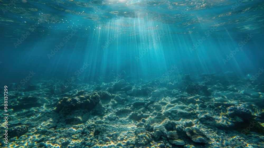 Fototapeta premium Sunbeams Underwater