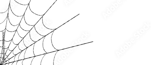 Black cobweb background copy space