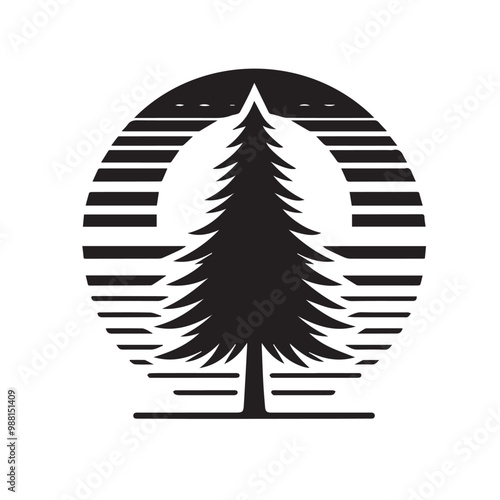 Pine tree vector silhouette. Pine tree logo, icon sign design. Evergreen tree illustration. Pine tree vector design isolated on white background.