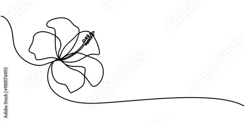 Hibiscus Flower Continuous Line Drawing with Editable Stroke, One continuous line drawing of hibiscus flower. Floral abstract symbol in simple linear style. Organic red herbal tea concept in editable