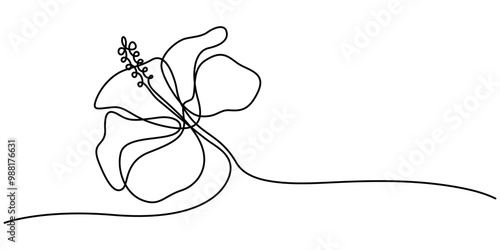 Hibiscus Flower Continuous Line Drawing with Editable Stroke, One continuous line drawing of hibiscus flower. Floral abstract symbol in simple linear style. Organic red herbal tea concept in editable