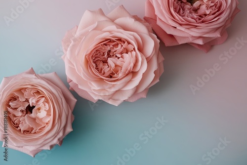 Soft Blush Rose and Tranquil Powder Blue Gradient Background photo