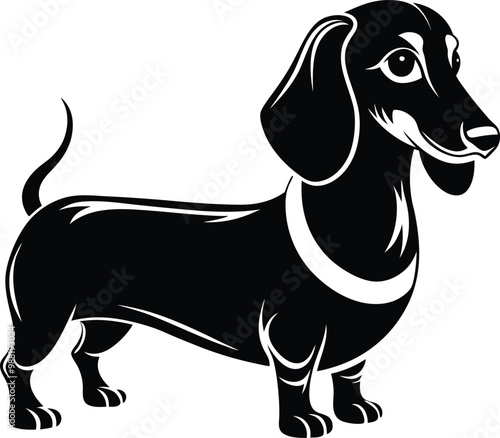Dachshund Silhouette: Playful and Iconic Sausage Dog