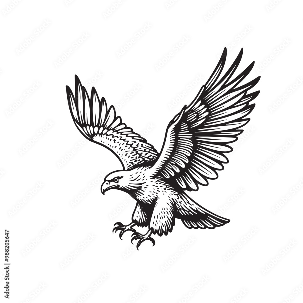 Fototapeta premium a black and white drawing of an eagle flying