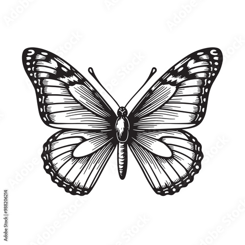 a black and white drawing of a butterfly