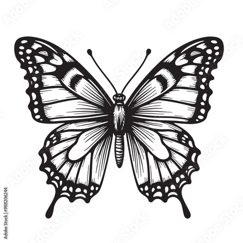 a black and white drawing of a butterfly