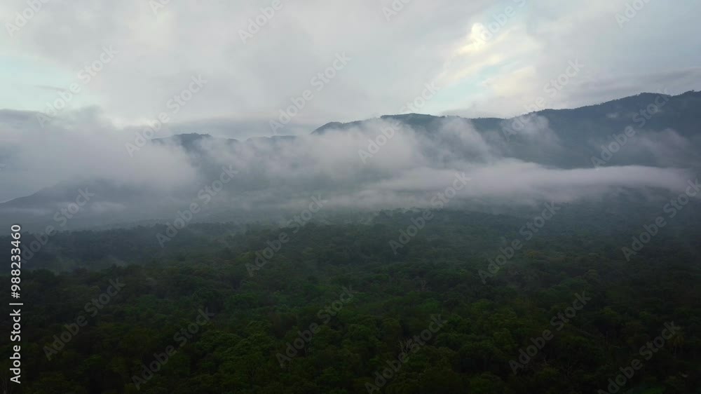 Drone shot over Mudumalai Tiger reserve. It is located in the Nilgiris District of Tamil Nadu state at the tri-junction of three states, viz, Karnataka, Kerala and Tamil Nadu Drone shot over Mudumalai Tiger reserve. It is located in the Nilgiris District of Tamil Nadu state at the tri-junction of three states, viz, Karnataka, Kerala and Tamil Nadu