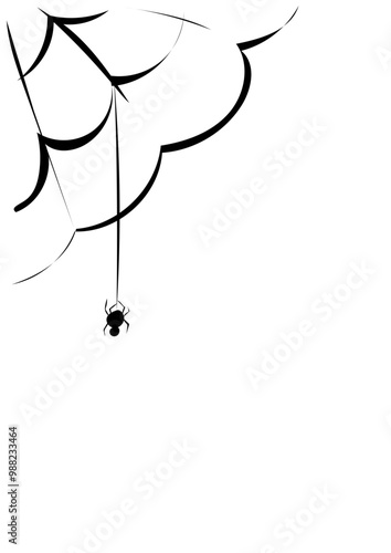 Spinne im Netz