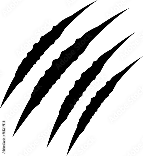 Animals nails trace sharp scratches