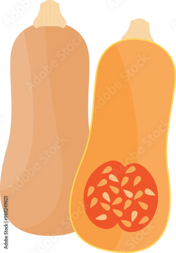 Butternut squash orange pumpkin