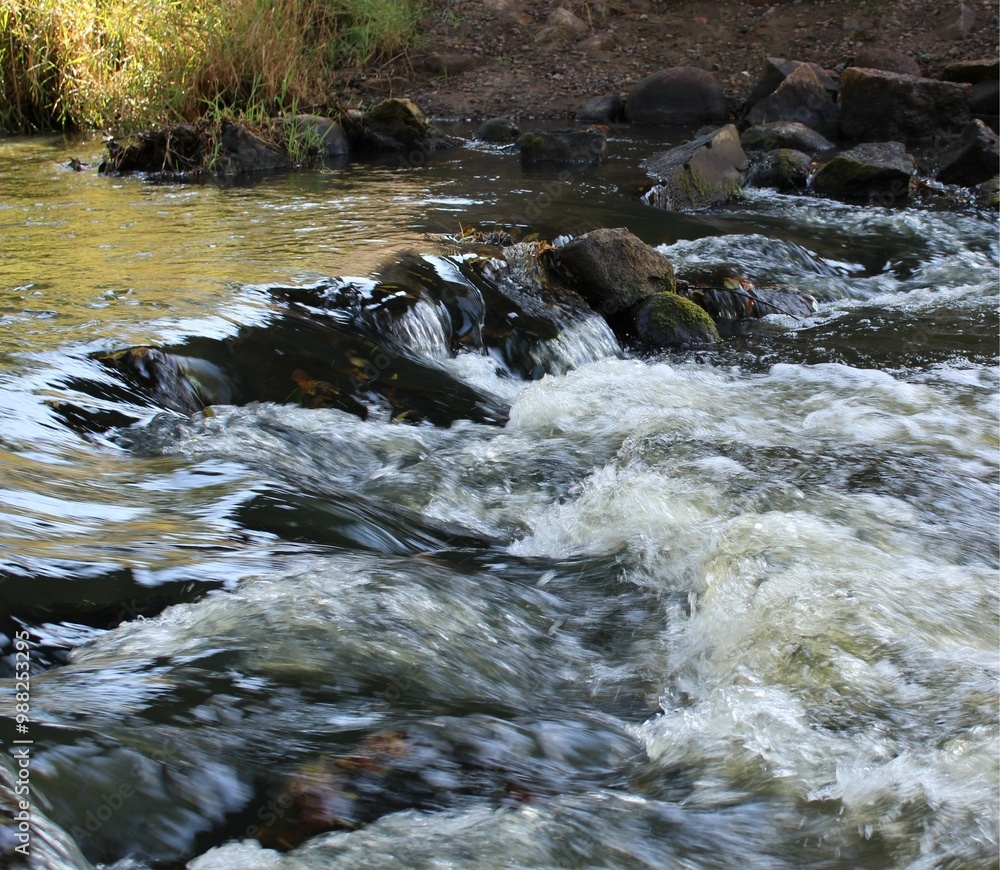 whitewater mountain river in the forest whitewater mountain river in the forest