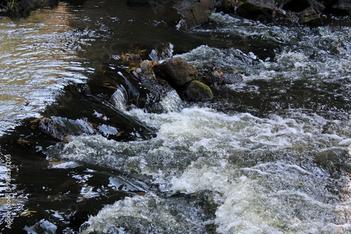 Fotografie water rapids in river background