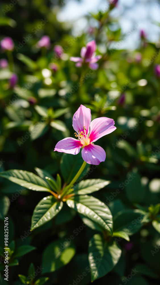Pink Flower in Green Bush Pink Flower in Green Bush