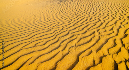 Sand dunes. landscape of golden sand dune with blue sky in desert