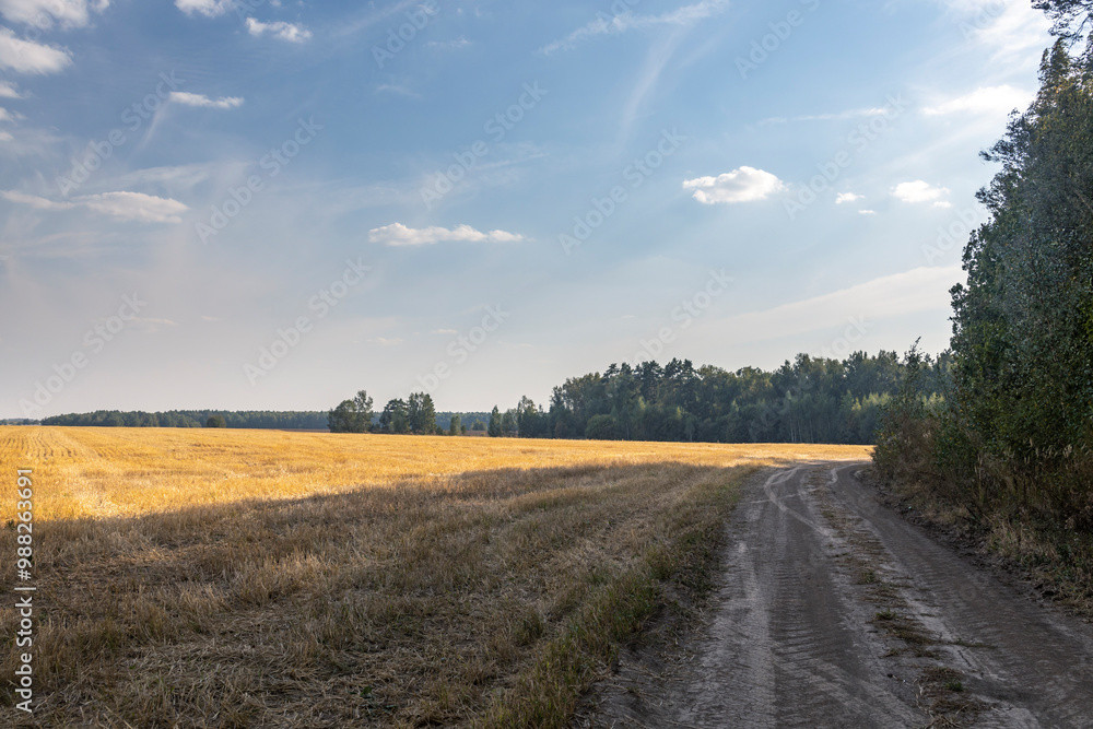 A road runs through a field of dry grass A road runs through a field of dry grass