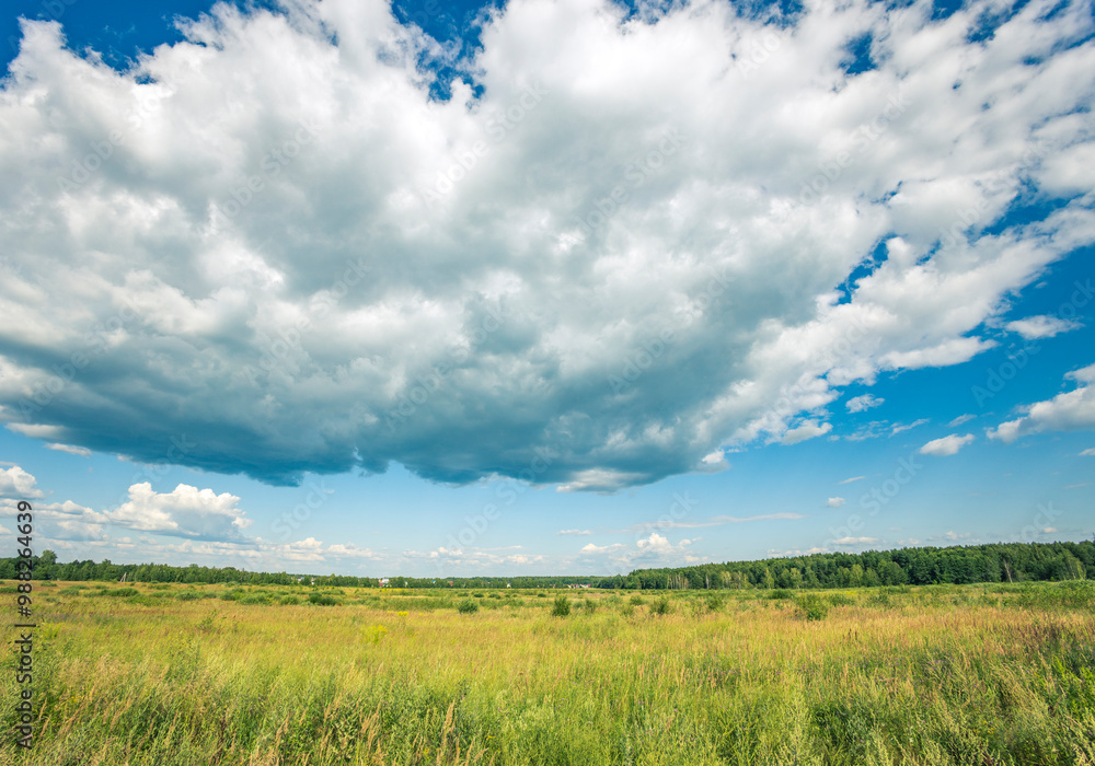 A large cloud in the sky over a field of grass A large cloud in the sky over a field of grass