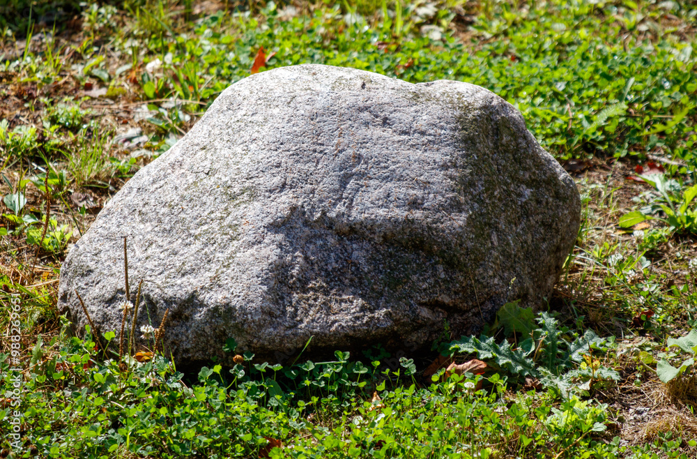 A large rock sits in a grassy field A large rock sits in a grassy field