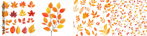 Collage of Assorted Autumn Leaves in Vibrant Fall Colors including Maple Oak and Other Deciduous Tree Foliage with Abstract Patterns and Textures