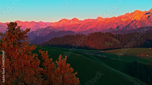 Aerial view of green grassland and forest with mountain nature landscape in Xinjiang, China. Spectacular mountain range scenery at sunset.
