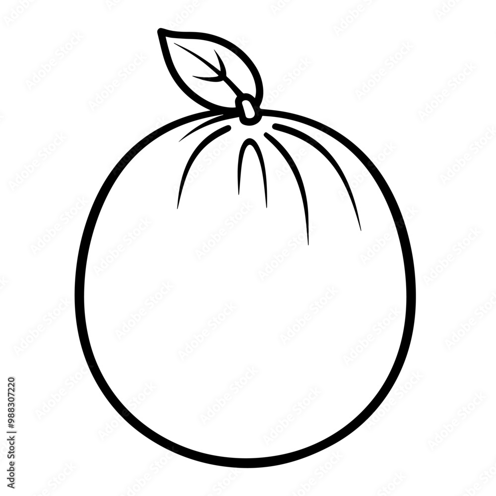 Vector outline of a fresh yuzu fruit icon. Vector outline of a fresh yuzu fruit icon.