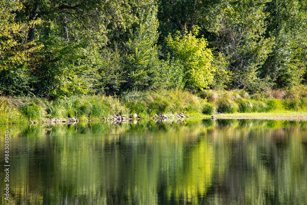 Loire river at Tours with green tree reflections