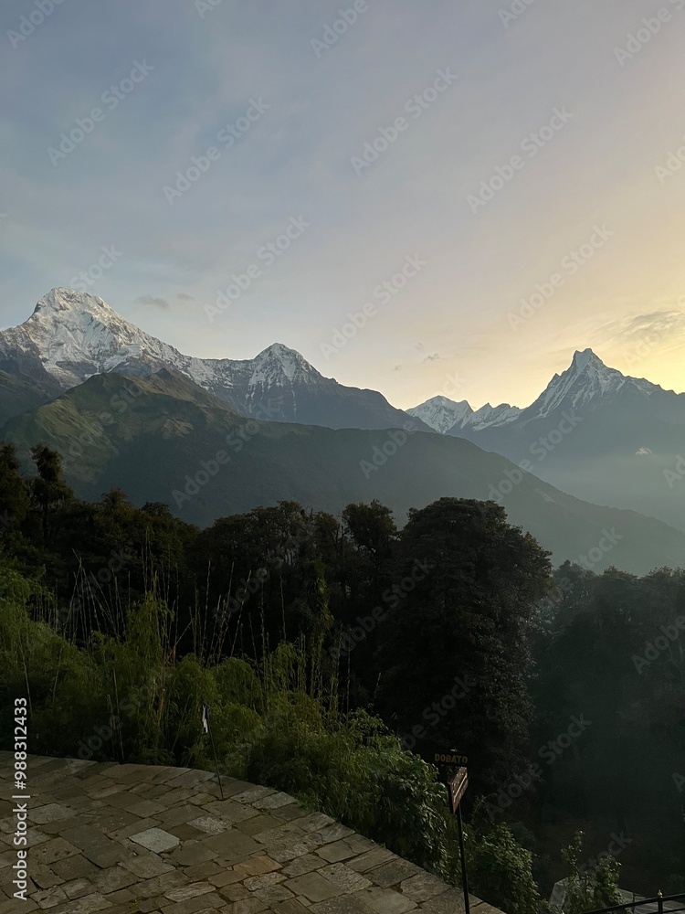 himaleje nepal machapuchare