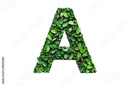 Leafy Letter A with Transparent Background: Green Nature Typography and Botanical Design for Eco-Friendly Alphabet and Organic Art