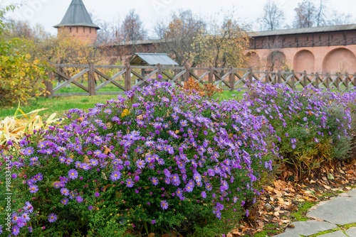 The apothecary's garden in the Spaso-Evfimiev monastery. Suzdal. Vladimir region, Russia photo